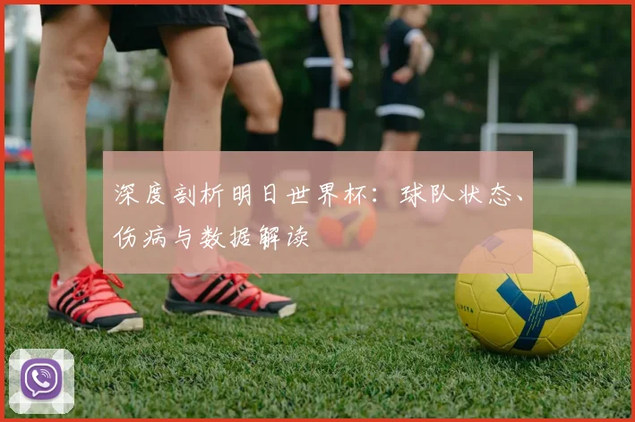 深度剖析明日世界杯:球队状态、伤病与数据解读