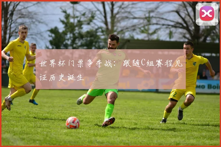 世界杯门票争夺战：跟随C组赛程见证历史诞生