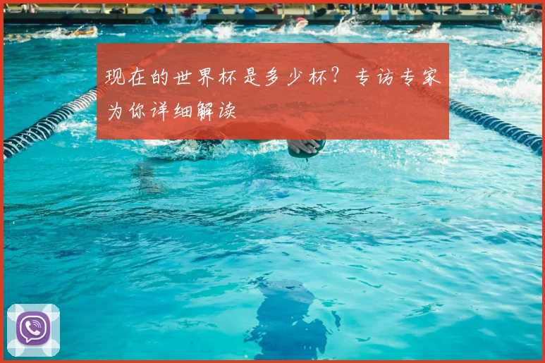 现在的世界杯是多少杯?专访专家为你详细解读