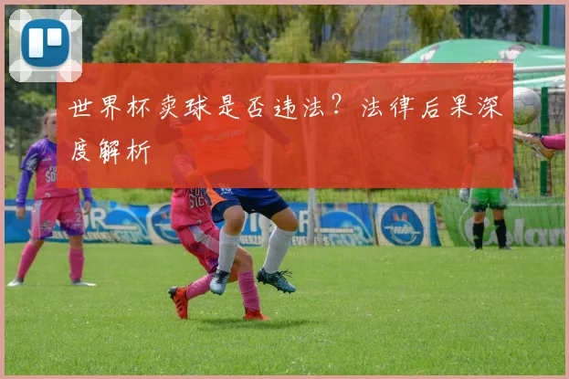 世界杯卖球是否违法？法律后果深度解析