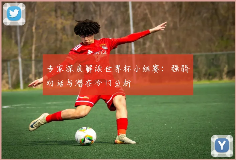专家深度解读世界杯小组赛：强弱对话与潜在冷门分析