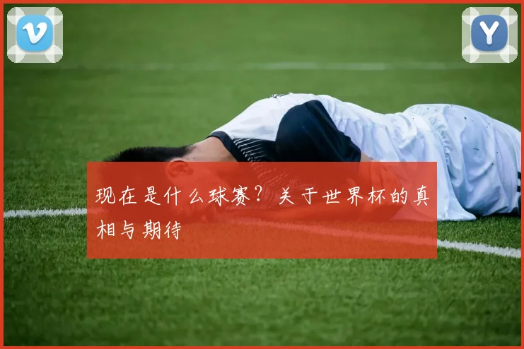 现在是什么球赛？关于世界杯的真相与期待
