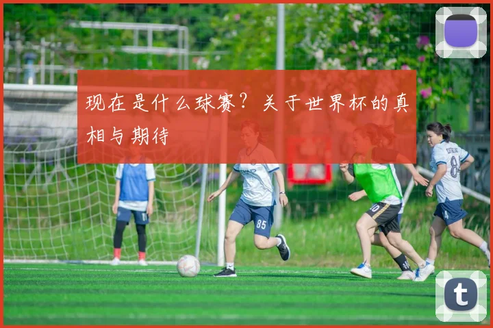 现在是什么球赛?关于世界杯的真相与期待