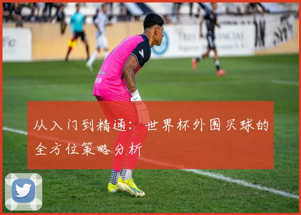 从入门到精通：世界杯外围买球的全方位策略分析