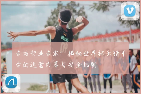 专访行业专家:揭秘世界杯竞猜平台的运营内幕与安全机制