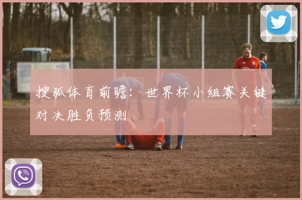 搜狐体育前瞻：世界杯小组赛关键对决胜负预测
